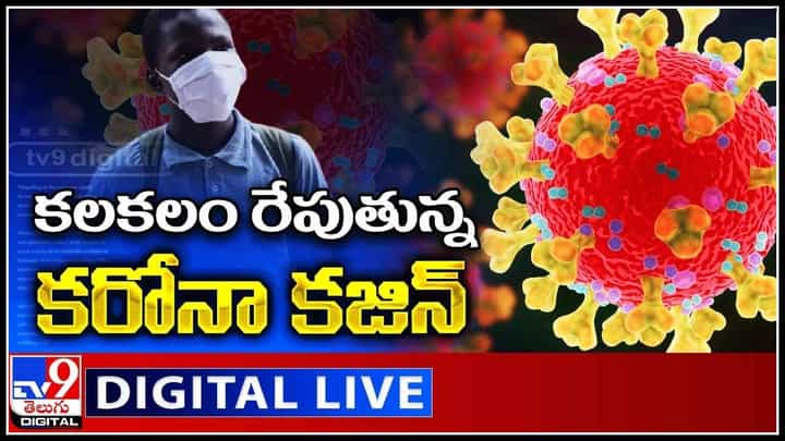 New Corona Variant Tension: కలకలం రేపుతున్న కరోనా కజిన్.. వేగంగా కొత్త వేరియంట్ వ్యాప్తి.. (వీడియో) New Corona Variant Tension: కలకలం రేపుతున్న కరోనా కజిన్.. వేగంగా కొత్త వేరియంట్ వ్యాప్తి.. (వీడియో)