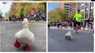 T20 world cup 2021: విలియమ్సన్ నిర్ణయం ఆశ్చర్యం కలిగించింది.. స్పిన్నర్ అశ్విన్..