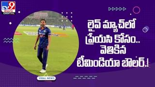 David Warner: సన్‌రైజర్స్‌ కెప్టెన్‌గా మీరే రావాలి.. క్రికెట్‌ ఫ్యాన్‌ కోరికకు వార్నర్‌ ఏం సమాధానం చెప్పాడంటే..