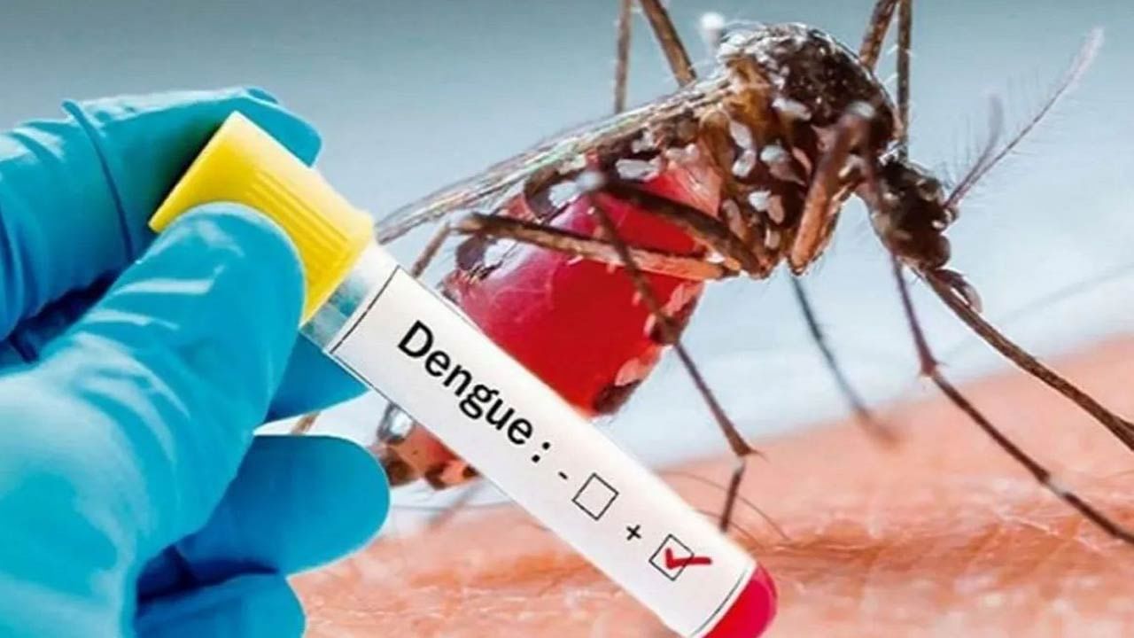 Dengue Danger Bells: విరుచుకుపడుతున్న డెంగ్యూ.. దేశ వ్యాప్తంగా 9 రాష్ట్రాల్లో భారీగా పెరుగుతున్న బాధితులు..
