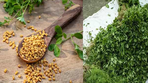 Diabetes: ఇన్సులిన్ వాడుతున్న షుగర్ పేషెంట్స్కు సైతం మంచి మెడిసిన్.. మెంతులు, మెంతికూర అంటున్న నిపుణులు