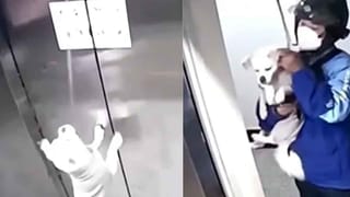 Viral Photo: ఈ ఫోటోలో చిరుత దాగుంది.. వేటాడేందుకు కొండల మధ్య నక్కింది.. అదెక్కడుందో గుర్తించండి.!