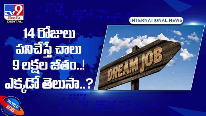 Viral Video: 14 రోజులు పనిచేస్తే చాలు 9 లక్షల జీతం !! ఎక్కడో తెలుసా ?? వీడియో Viral Video: 14 రోజులు పనిచేస్తే చాలు 9 లక్షల జీతం !! ఎక్కడో తెలుసా ?? వీడియో