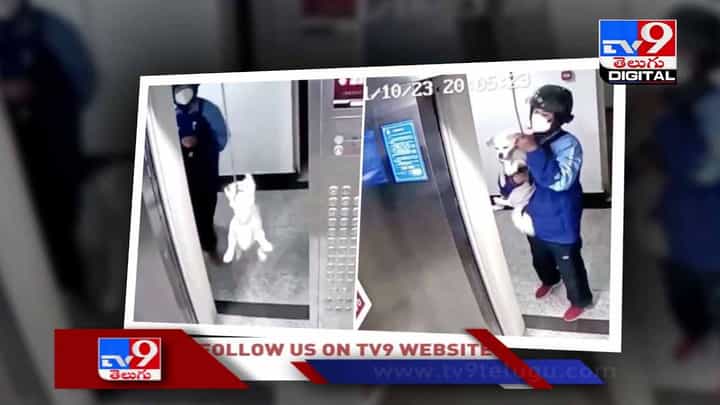 Viral Video: కుక్క ప్రాణాన్ని కాపాడిన డ్రైవర్ !! వీడియో వైరల్ Viral Video: కుక్క ప్రాణాన్ని కాపాడిన డ్రైవర్ !! వీడియో వైరల్