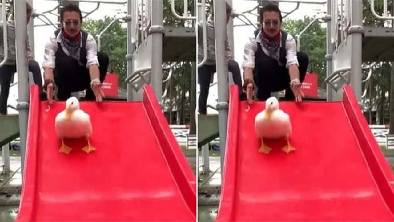 Duck Viral Video: పార్క్‌లో పసిపిల్లలను మరిపించిన బాతు.. దాని ఆట చూస్తే అదుర్స్ అనాల్సిందే..