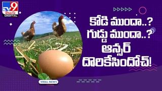 WhatsApp: ఈ ఫోన్లలో ఇక వాట్సప్‌ పనిచేయదు.. కొత్త ఫోన్‌ కొనాల్సిందే..! వాట్సప్‌ నిలిపివేత అప్పటి నుండే.. (వీడియో)