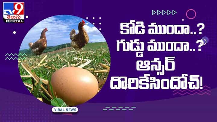 కోడి ముందా..గుడ్డు ముందా..? ఆన్సర్ దొరికేసిందోచ్ ! వీడియో కోడి ముందా..గుడ్డు ముందా..? ఆన్సర్ దొరికేసిందోచ్ ! వీడియో