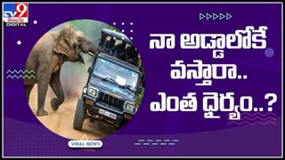 Which is first chicken or egg: కోడి ముందా.. గుడ్డు ముందా..? ఆన్స‌ర్ దొరికేసిందోచ్‌…!అమెరికన్‌ సైంటిస్టుల వివరణ.. (వైరల్ వీడియో)