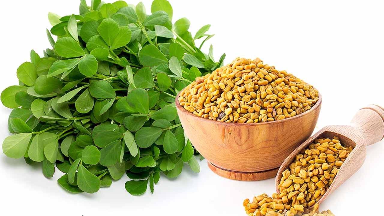 Fenugreek Benefits: చలికాలంలో మెంతికూర, మెంతులతో చర్మ సమస్యలు దూరం.. ప్రయోజనాలెన్నంటే..