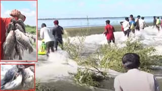 Andhra Pradesh: ఏపీ థియేటర్లలో ఇక నుంచి రోజుకు 4 షోలు మాత్రమే.. ఆన్‌లైన్‌లోనే సినిమా టికెట్లు