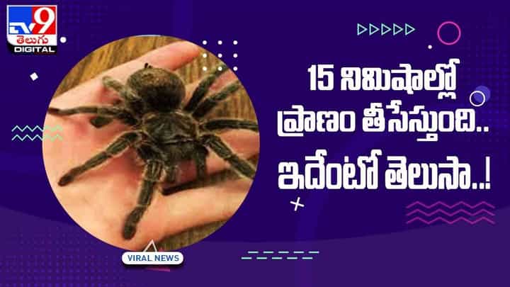 15 నిమిషాల్లో ప్రాణం తీసేస్తుంది !! ఇదేంటో తెలుసా ?? వీడియో 15 నిమిషాల్లో ప్రాణం తీసేస్తుంది !! ఇదేంటో తెలుసా ?? వీడియో