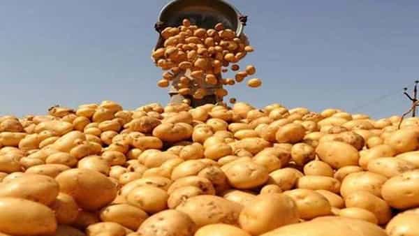 Andhra Pradesh: ఫస్ట్ క్లాస్ ఆలుగడ్డలు అనుకోకండి... అసలు యవ్వారం వేరే ఉంది.. పక్కా స్కెచ్