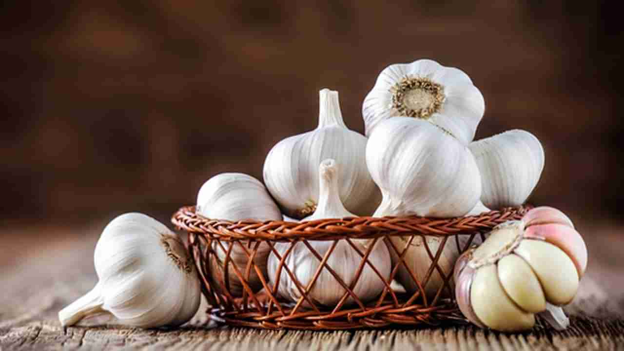 Garlic Benefits: చలికాలంలో వెల్లుల్లితో కలిగే ప్రయోజనాలు తెలిస్తే అస్సలు వదలరు.. ఏంటో తెలుసుకోండి..