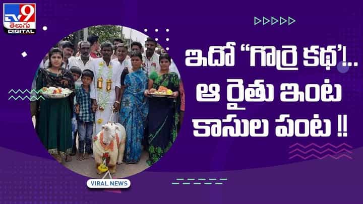 Viral Video: ఇదో గొర్రె కథ'! ఆ రైతు ఇంట కాసుల పంట !! వీడియో Viral Video: ఇదో గొర్రె కథ'! ఆ రైతు ఇంట కాసుల పంట !! వీడియో