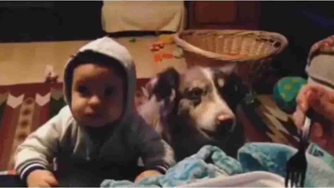 Viral Video: పిల్లాడి కంటే ముందే ‘అమ్మా’ అనేసిన పెంపుడు కుక్క.. వీడియో చూస్తే నవ్వుల పువ్వులే..!