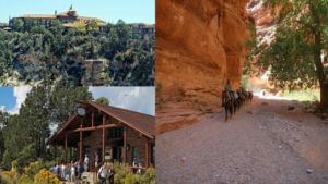 Grand Canyon: అభివృద్ధికి ఆమడ దూరంలో అమెరికాలోని ఓ గ్రామం.. ఇప్పటికీ గాడిదలపైనే ప్రయాణం