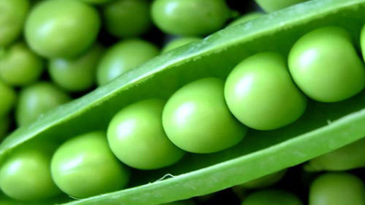 Green Peas Benefits: బఠానీలు తింటే కలిగే ఆరోగ్య ప్రయోజనాలు తెలిస్తే అస్సలు వదలిపెట్టరు..