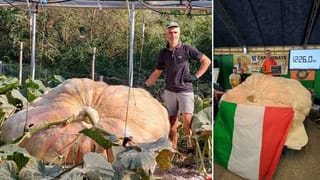 Viral Video: రోడ్డుపైకి వచ్చిన ఆవు ఏం చేసిందంటే.. వైరల్ అయిన వీడియో..