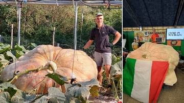 Giant Pumpkin: ప్రపంచంలోనే అతి పెద్దగుమ్మడి కాయ .. 17 మందికి సమానం దీని బరువు.. ఎక్కడంటే