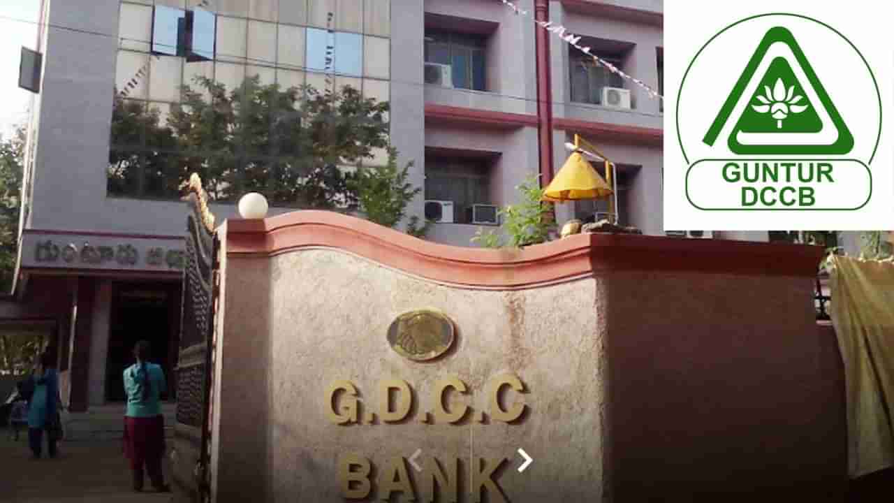 Guntur DCCB Jobs: గుంటూరు డీసీసీడీలో ఉద్యోగాలు.. అభ్యర్థులను ఎలా ఎంపిక చేస్తారంటే..