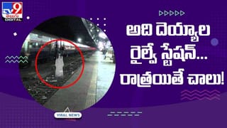 Viral Video: తొలిసారి పిజ్జా రుచి చూసిన బామ్మ ఎక్స్‌ప్రెషన్‌కు నెటిజన్లు ఫిదా.. వీడియో