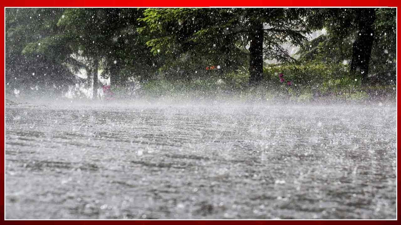 Weather Alert: మరో మూడు రోజుల పాటు జోరు వానలు.. తాజా హెచ్చరిక జారీ చేసిన వాతావరణ శాఖ