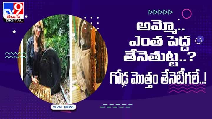 Viral Video: అమ్మో.. ఎంత పెద్ద తేనెతుట్ట !! గోడ మొత్తం తేనెటీగలే !! ఆశ్చర్యపోతున్న నెటిజన్లు !! వీడియో Viral Video: అమ్మో.. ఎంత పెద్ద తేనెతుట్ట !! గోడ మొత్తం తేనెటీగలే !! ఆశ్చర్యపోతున్న నెటిజన్లు !! వీడియో