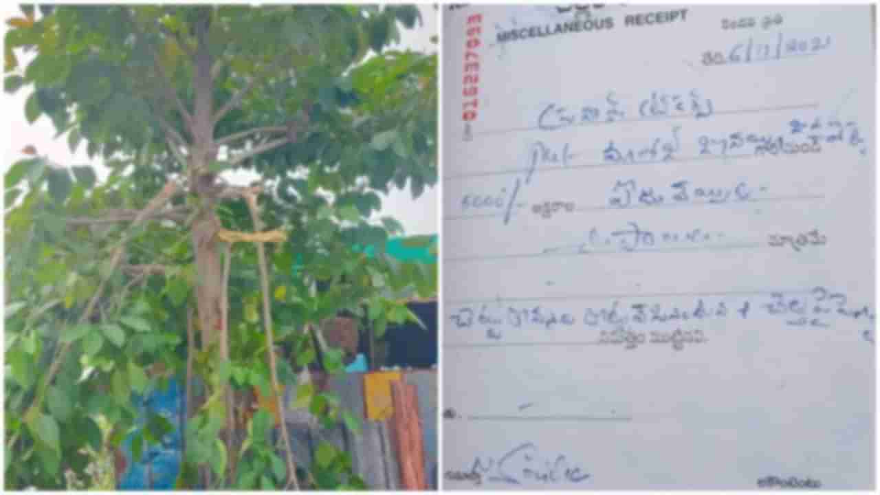 Save Trees:  హరిత హారం చెట్టు కొమ్మలు నరికినందుకు రూ.5వేల జరిమానా.. ఎక్కడంటే..