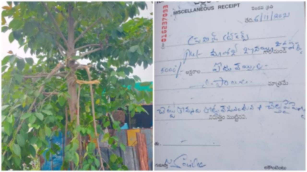 Save Trees:  హరిత హారం చెట్టు కొమ్మలు నరికినందుకు రూ.5వేల జరిమానా.. ఎక్కడంటే..