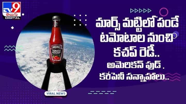 మార్స్ మట్టిలో పండే టమోటాల నుంచి కచప్ రెడీ.. అమెరికన్ ఫుడ్ కంపెనీ సన్నాహాలు.. వీడియో మార్స్ మట్టిలో పండే టమోటాల నుంచి కచప్ రెడీ.. అమెరికన్ ఫుడ్ కంపెనీ సన్నాహాలు.. వీడియో