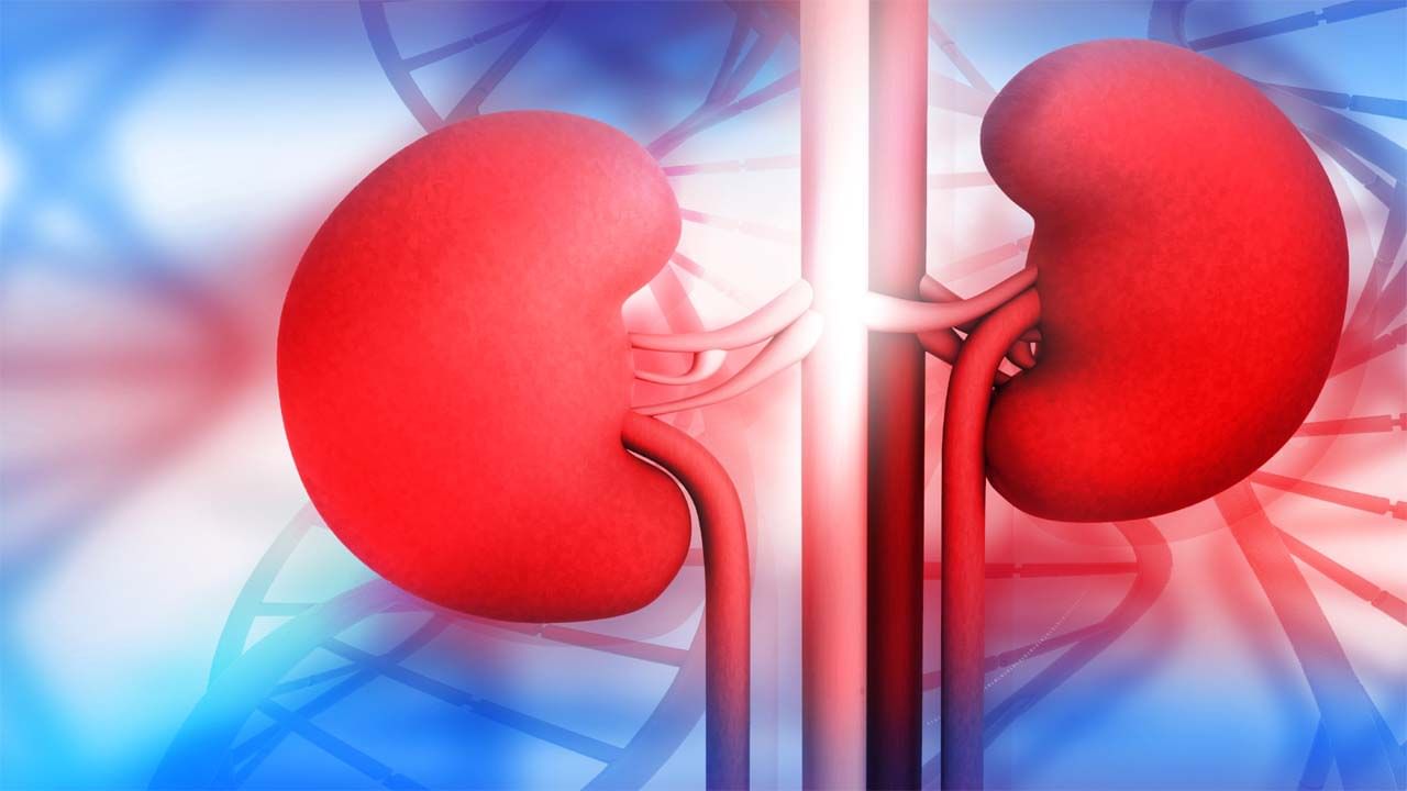 Kidney Problem: కిడ్నీ సమస్యను గుర్తించడం ఎలా..? నిర్లక్ష్యం చేస్తే ప్రాణాలకే ముప్పు.. పరిష్కారం ఏమిటి..?