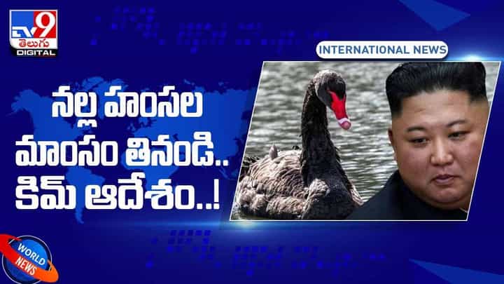 Kim Jong-un: కిమ్ సంచలన నిర్ణయం.. నల్ల హంసల మాంసం తినాలంటూ ప్రజలకు పిలుపు.. వీడియో Kim Jong-un: కిమ్ సంచలన నిర్ణయం.. నల్ల హంసల మాంసం తినాలంటూ ప్రజలకు పిలుపు.. వీడియో