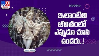 Kim Jong-un: కిమ్‌ సంచలన నిర్ణయం.. నల్ల హంసల మాంసం తినాలంటూ ప్రజలకు పిలుపు.. వీడియో