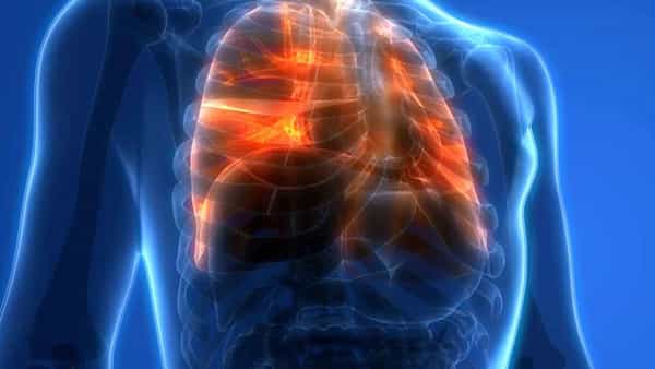 Lungs Protect Tips: పొంచి ఉన్న వాయు కాలుష్యం ముప్పు.. మీ ఊపిరితిత్తులను ఇలా కాపాడుకోండి..