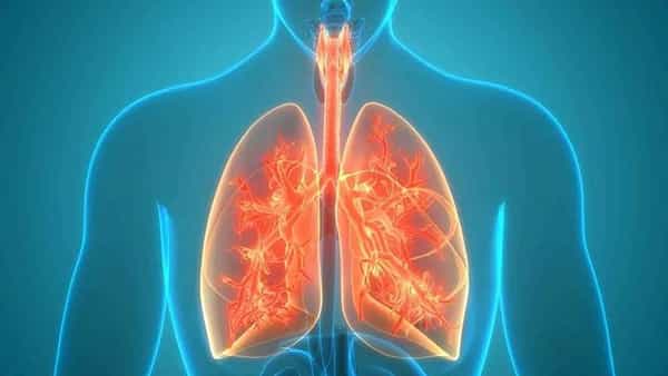 Lungs Cancer: పెరుగుతున్న కాలుష్యంతో ముప్పు.. వీటిని జాగ్రత్తగా కాపాడుకోకపోతే అంతే సంగతులు..