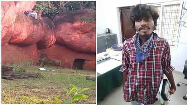 Viral Video: హైదరాబాద్ జూపార్క్లో యువకుడి హల్చల్.. సింహం ఎన్క్లోజర్ లోకి దూకేందుకు యత్నించిన యువకుడు.. అడ్డుకున్న జూ సిబ్బంది