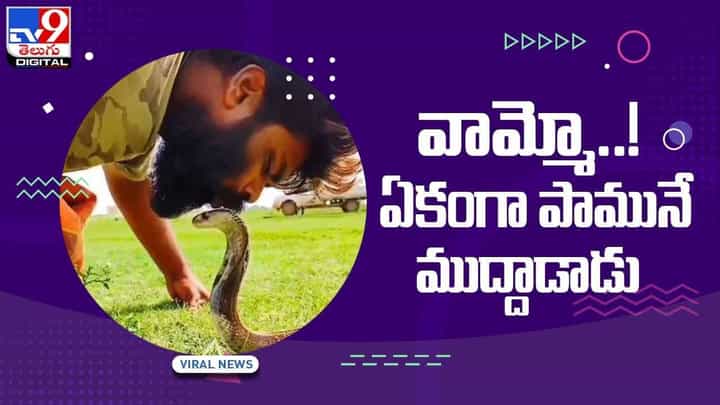 Viral Video: వామ్మో..! ఏకంగా పామును ముద్దాడాడు.. వీడియో Viral Video: వామ్మో..! ఏకంగా పామును ముద్దాడాడు.. వీడియో