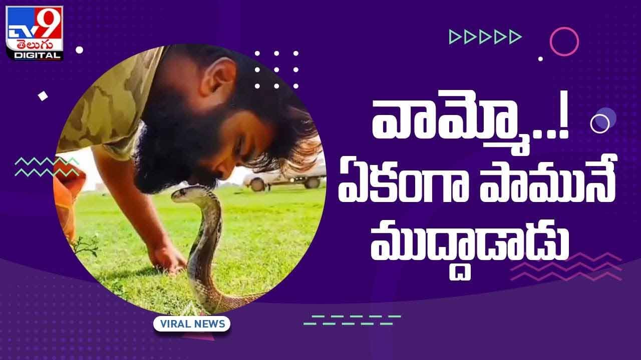 Viral Video: వామ్మో..! ఏకంగా పామును ముద్దాడాడు.. వీడియో