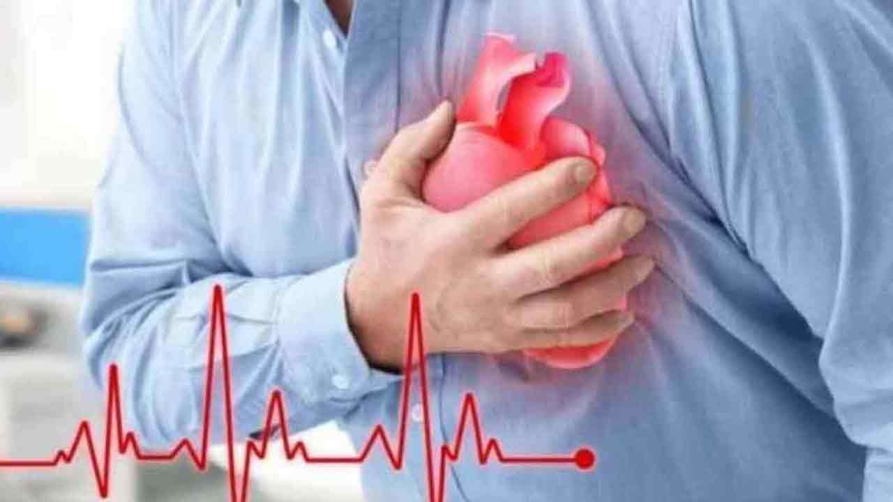 Heart Stroke: గుండెపోటులో 2 రకాలు.. మినీ స్ట్రోక్ vs రెగ్యులర్ స్ట్రోక్.. అంటే ఏంటో తెలుసుకోండి..