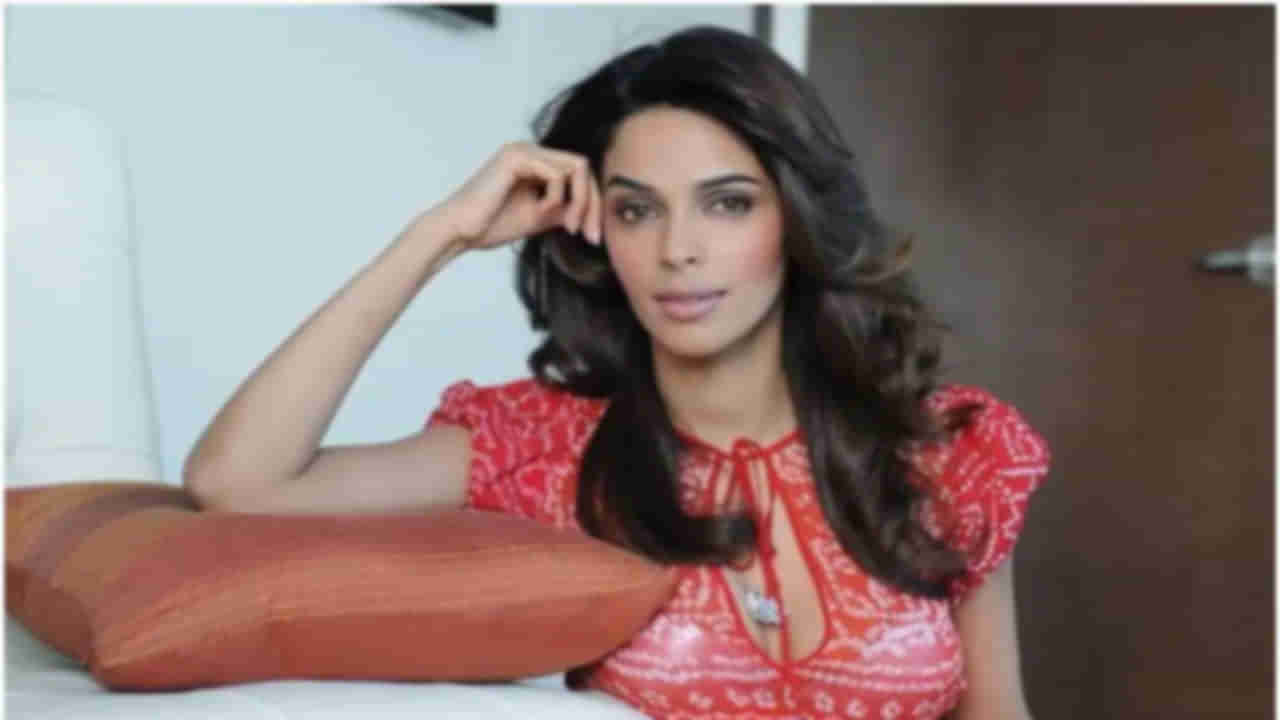 Mallika Sherawat: పాట కోసం నా నడుముపై చపాతీలు వేడిచేస్తానన్నాడు.. మల్లిక ఆసక్తికర వ్యాఖ్యలు..