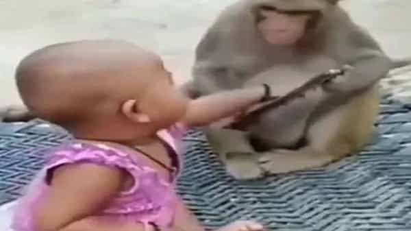 Viral Video: ఫోన్ నాదంటే.. నాది.. చిన్నారి వర్సెస్ వానరం.. క్యూట్ వీడియో భలే ఉంది