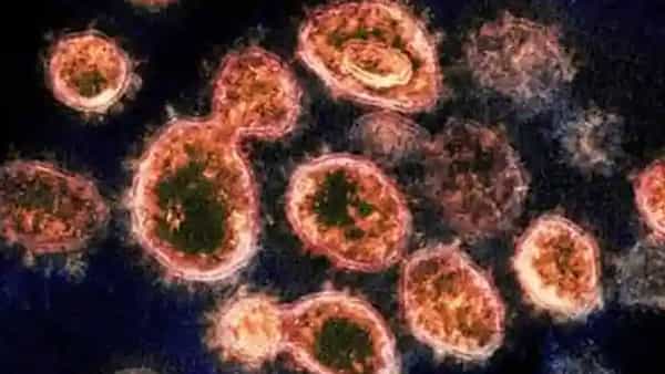 New Covid Variant: HIV రోగి నుంచి కొత్త వేరియంట్.. ప్రమాదకరంగా వైరల్ లోడ్.. పూర్తి వివరాలు