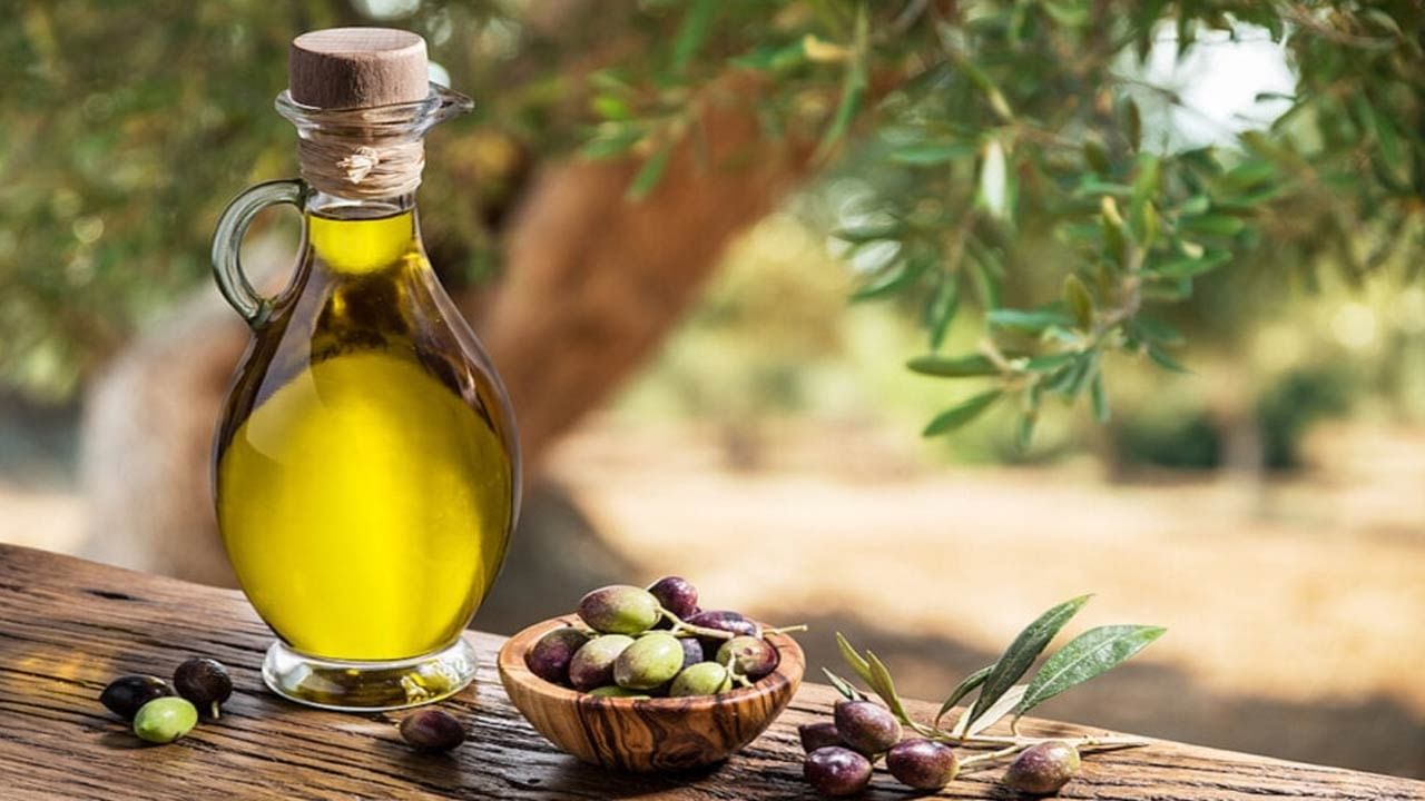 Olive Oil Benefits: ఆలివ్ నూనె ఆరోగ్యానికి ఎందుకు మంచిదో తెలుసా ?... అసలు విషయాలు తెలుసుకోండి..