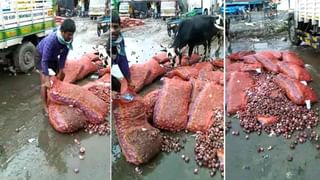 Nellore Weather: నెల్లూరు జిల్లాలో భారీ వర్షం.. హైఅలెర్ట్ ప్రకటించిన అధికారులు