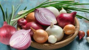 Onions Benefits: ప్రతి రోజూ ఉల్లిపాయ తింటే ఏమవుతుంది..? పరిశోధనలలో కీలక విషయాలు వెల్లడి..!