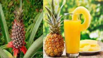 Pineapple For Health: సీజనల్ ఫ్రూట్ అనాస తినడం వలన కలిగే అద్భుత ఆరోగ్య ప్రయోజలు ఎన్నో..