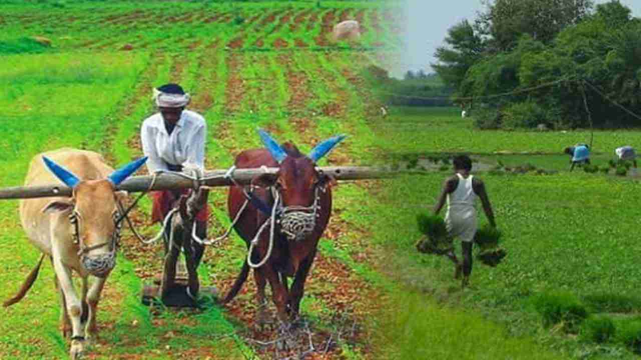 PM Kisan: రైతులకు అలర్ట్.. పీఎం కిసాన్ డబ్బుల కోసం ఇలా మీ పేరు చెక్ చేసుకోండి..