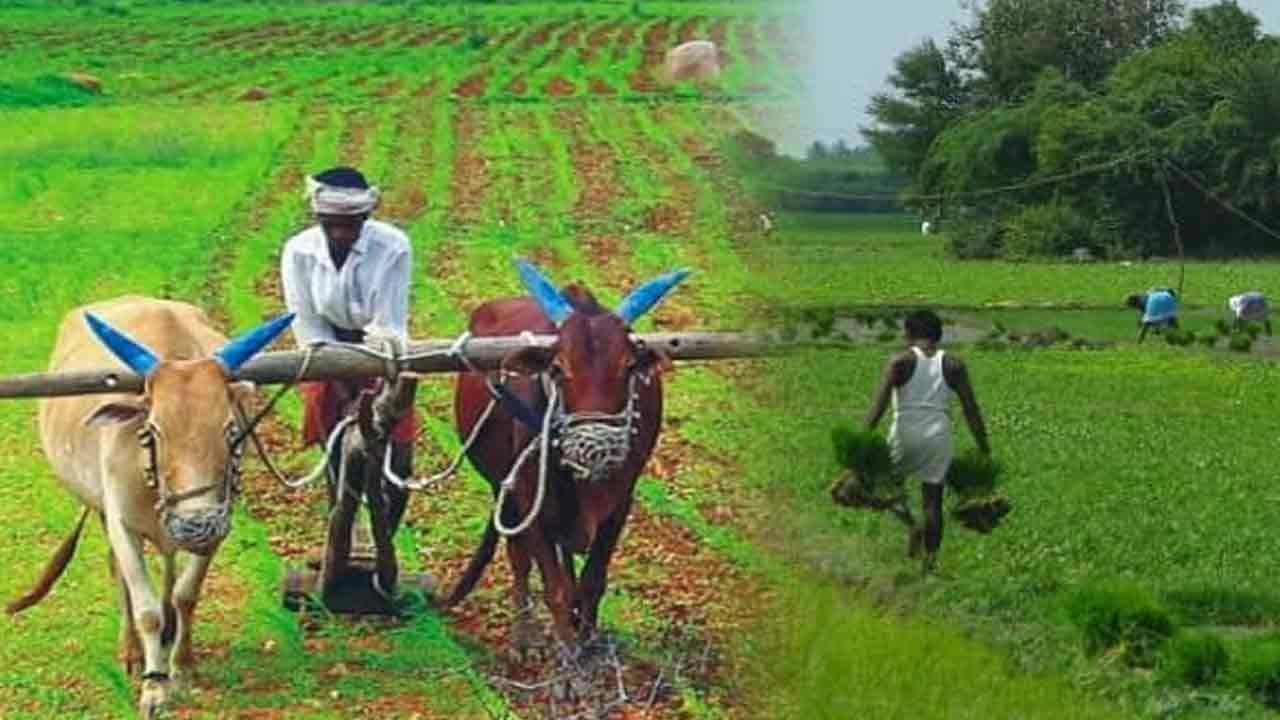 PM Kisan: రైతులకు అలర్ట్.. పీఎం కిసాన్ డబ్బుల కోసం ఇలా మీ పేరు చెక్ చేసుకోండి..