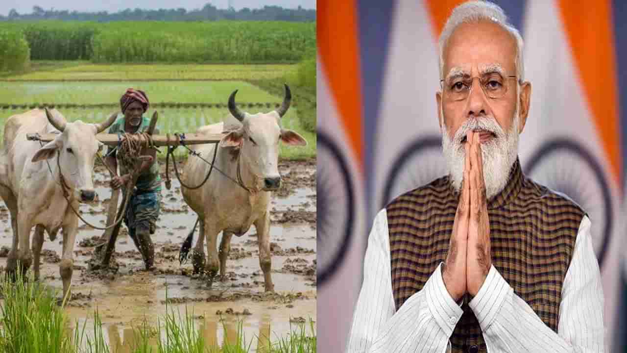 PM Kisan: అన్నదాతలకు అలర్ట్.. వెంటనే ఈ పని చేయకపోతే పీఎం కిసాన్ డబ్బులు రావు.. మారిన రూల్స్ తెలుసుకోండి..