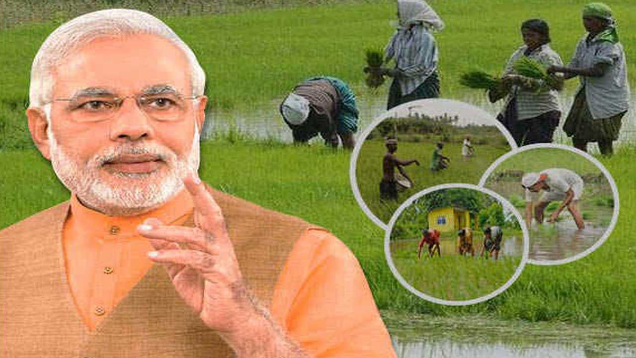 PM Kisan: రైతులకు అలర్ట్.. ఈ పొరపాట్లు చేస్తే పీఎం కిసాన్ డబ్బులు రావు.. ఏంటో తెలుసుకోండి..